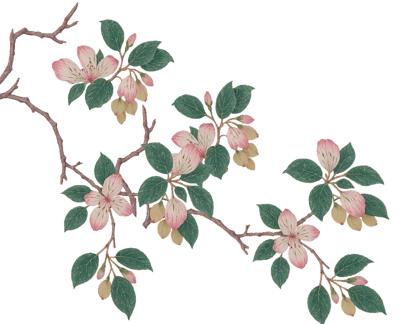 flower-1
