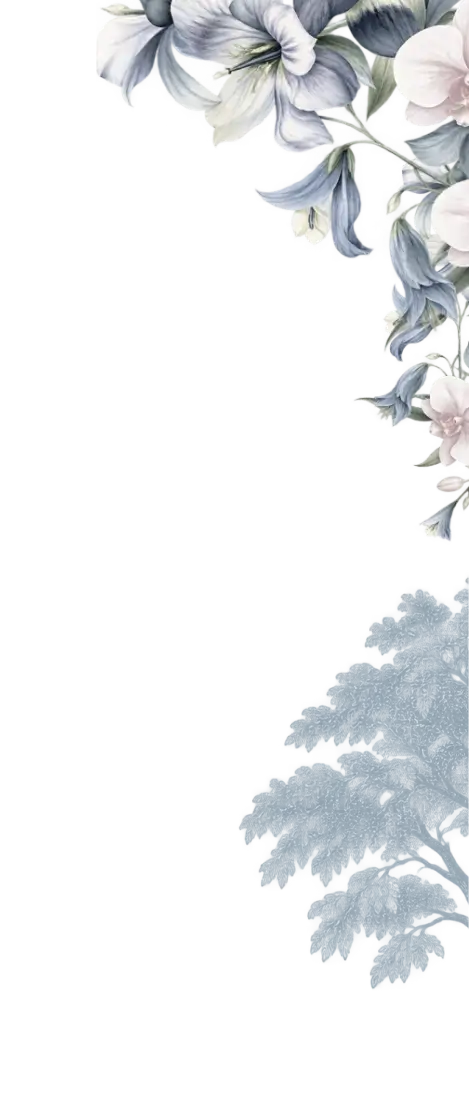 img-top-right
