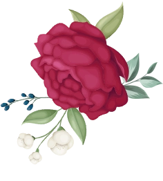 flower-center